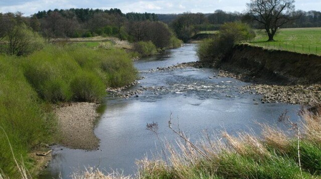 River Ure Looking downstream near North Stainley.