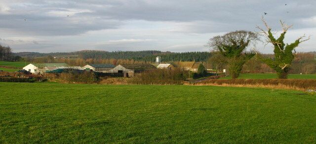 A rural landscape with green fields, a few farm buildings, and a tree in the foreground.