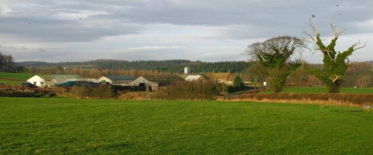 A rural landscape with green fields, a few farm buildings, and a tree in the foreground.
