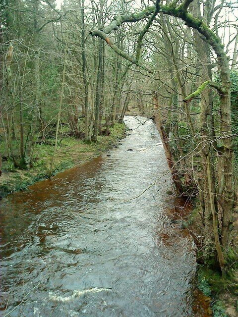 Upstream The River Laver from Ings Bridge, its banks lined with alders, begins its journey on Dallowgill and Kirkby Malzeard Moors around 12km away to the west.