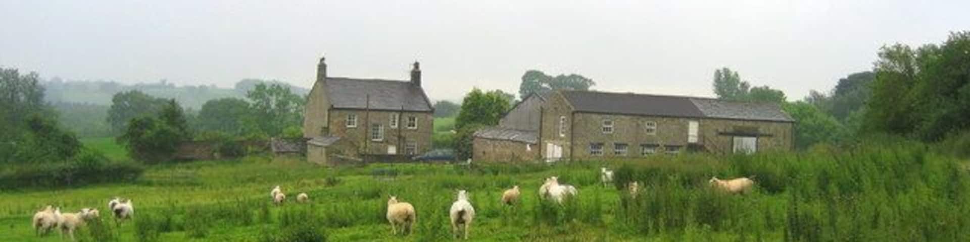 Laver Banks Farm Surrounded by pasture to the east of Winksley village.
