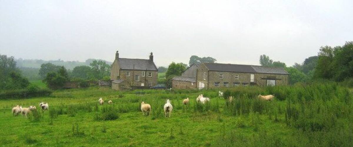 A rural landscape with a green field, sheep, and two stone buildings.