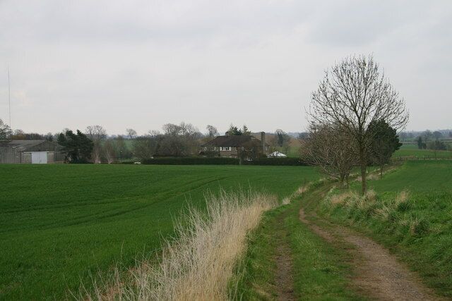 A rural landscape with a dirt path, green fields, and a leafless tree.