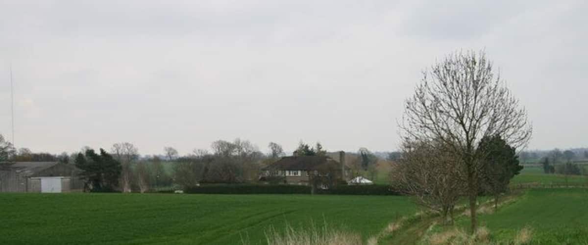 A rural landscape with a dirt path, green fields, and a leafless tree.
