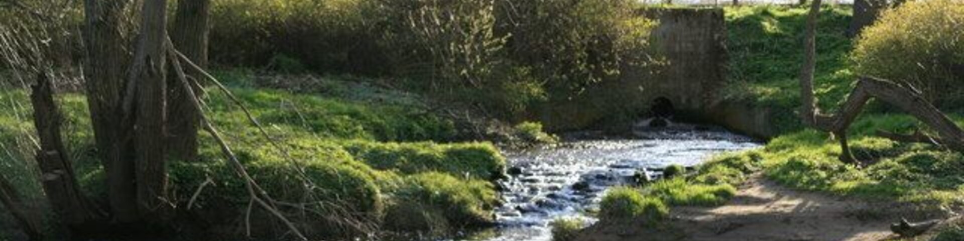 Un pequeño arroyo serpentea por una zona cubierta de hierba, con árboles y un puente al fondo.