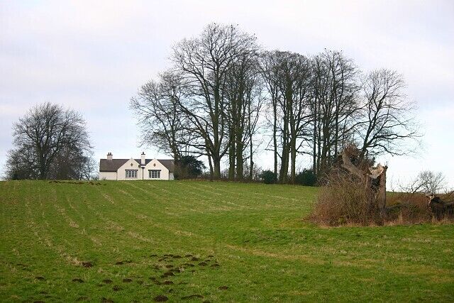 Lister House, Sharow. Looking north, Lister House just visible above the rise.