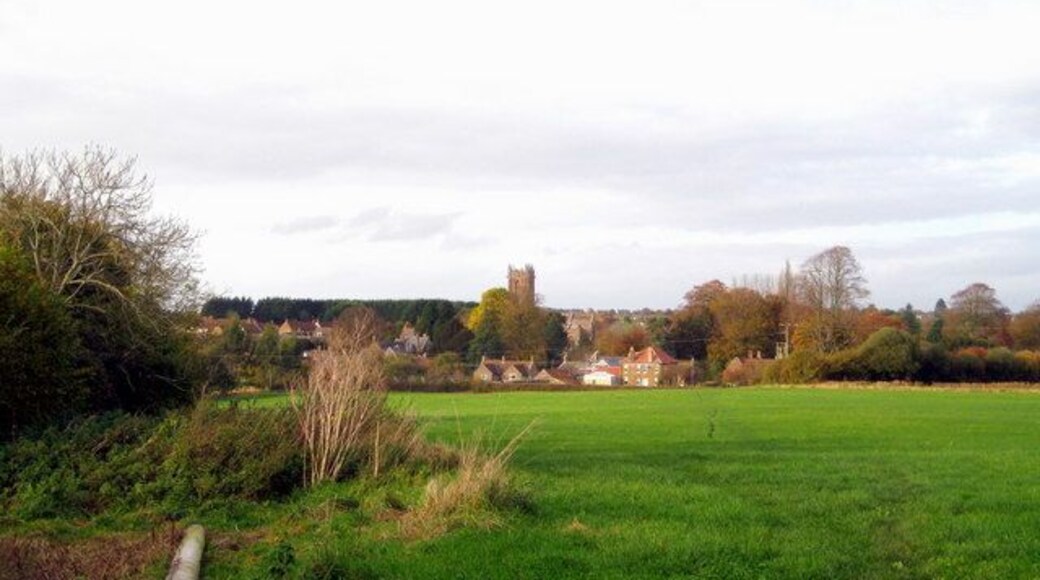 Norton sub Hamdon A view of the village and St Mary's Church from a gateway on the Chiselborough lane.