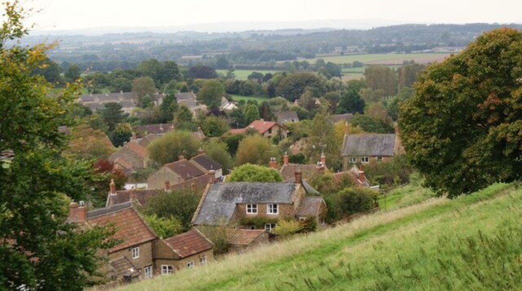 Chiselborough A roofscape of Chiselborough taken from Chiselborough Common.