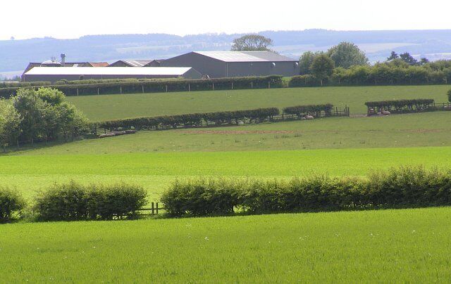 Farmland NW of Newfields Barn. Mainly good arable land here.