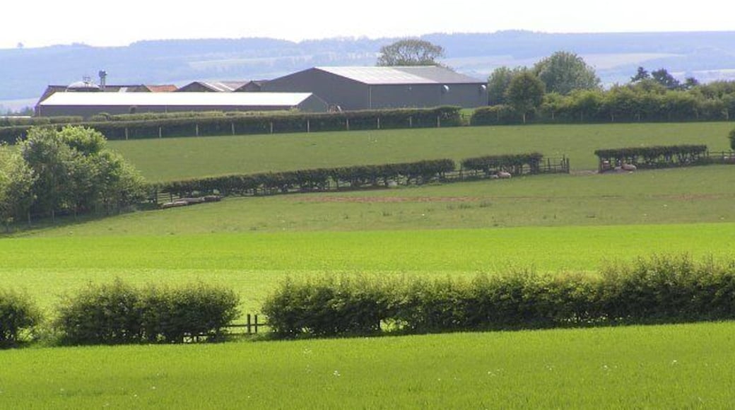 Farmland NW of Newfields Barn. Mainly good arable land here.