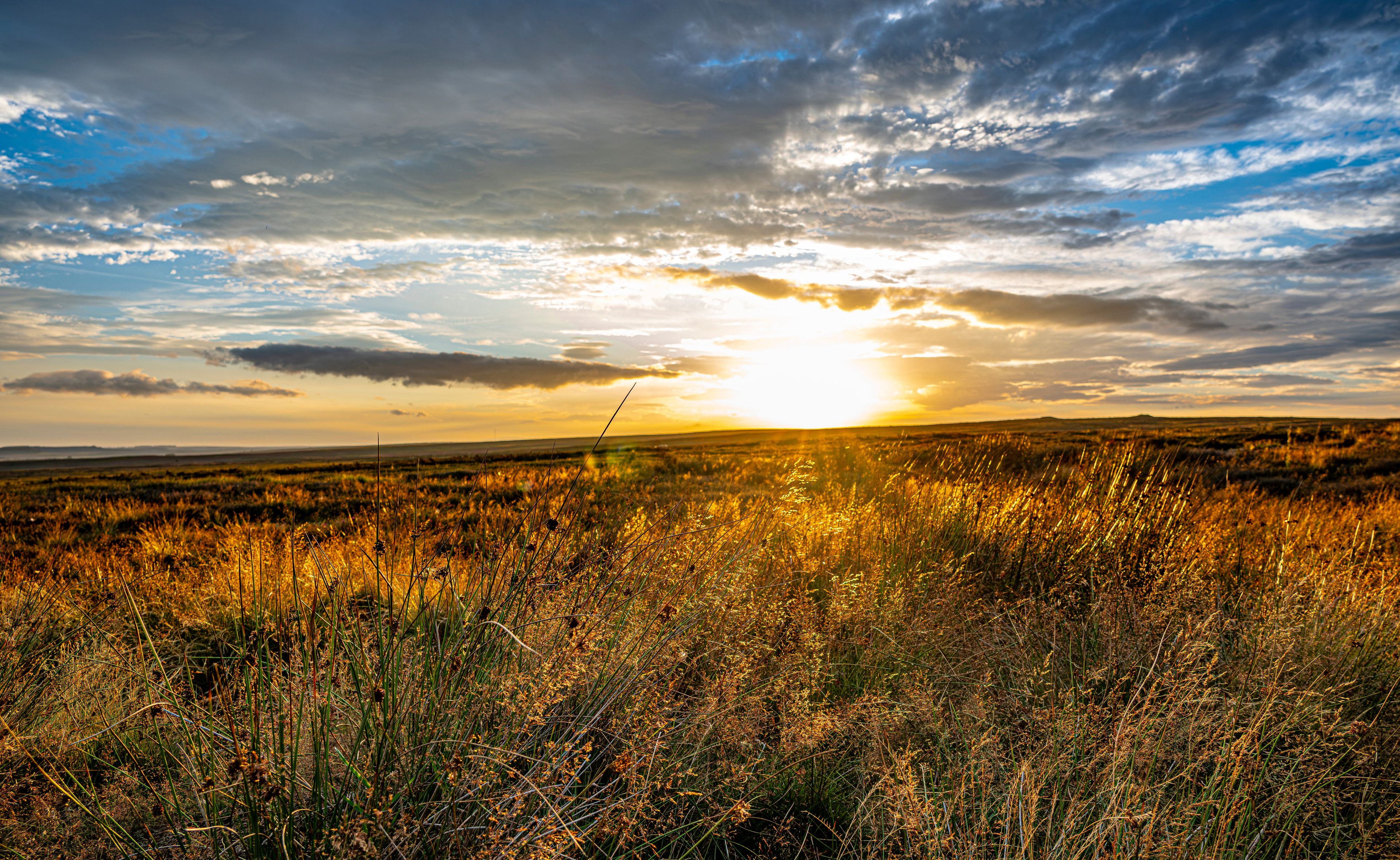 Un atardecer sobre un campo cubierto de hierba con cielo nublado.