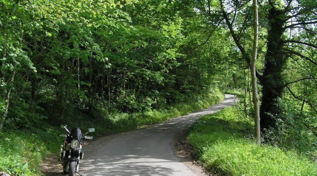 Sleightholme dale road. At "The Brow", the road drops steeply down through woods as it leaves the elevated limestone area South West of Fadmoor.
