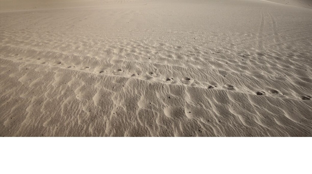 If the Silk Road takes you to the Gobi Desert, hike up to the sand dunes, get in a sack and slide down! In the summer the sun doesn't set until 9 pm and you forget you've been out there so long! Venders sell bright orange shoe coverings to help keep sand from getting into your shoes as you're hiking.