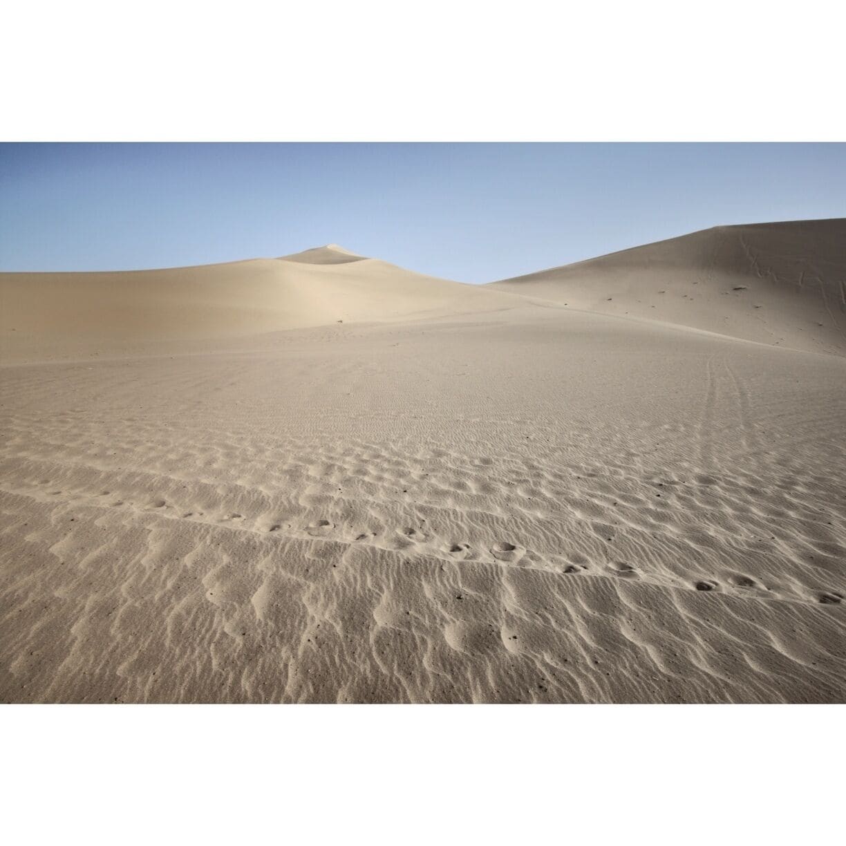 A vast desert landscape with undulating sand dunes and visible footprints.