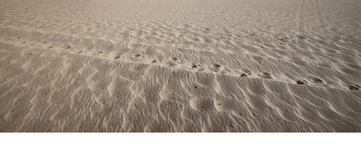 A vast desert landscape with undulating sand dunes and visible footprints.