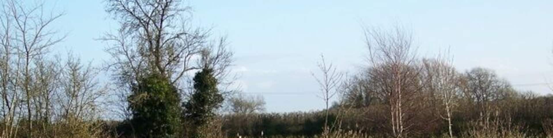 Footpath, Lower Weare The footpath leaves the A38 to cross the area of lawn before joining the footpath beside the River Axe.