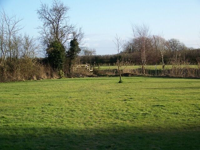 A grassy field with trees and a stone wall in the background.