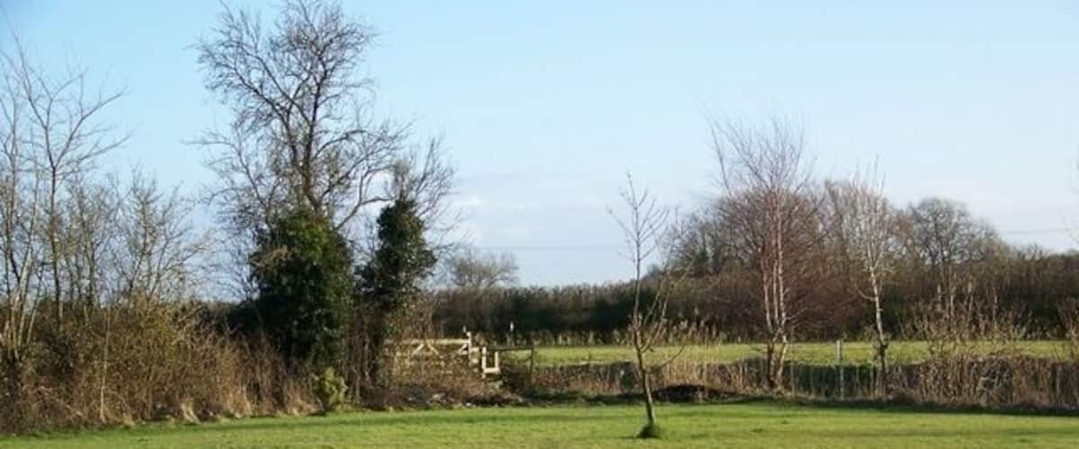 A grassy field with trees and a stone wall in the background.