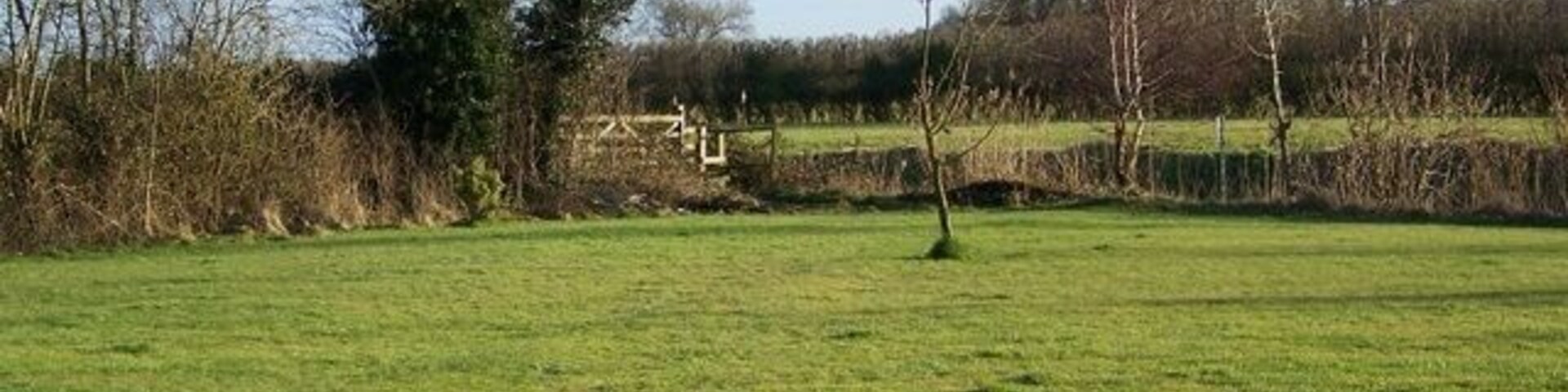 A grassy field with trees and a stone wall in the background.