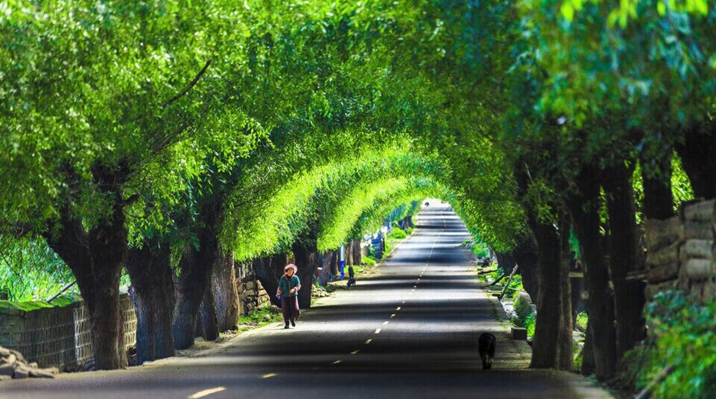 #Yarlung Zangbo Grand Canyon.
世界上最大的峡谷- #雅鲁藏布大峡谷
https://twitter.com/Beautifulgx