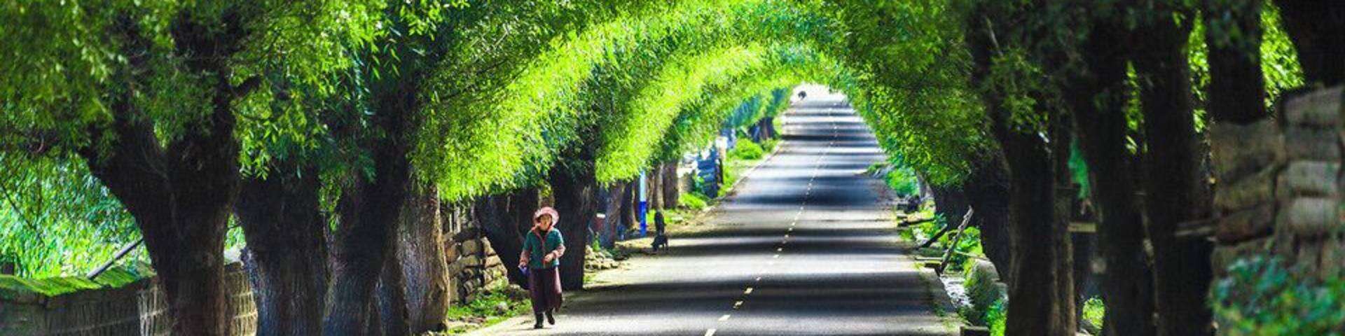 #Yarlung Zangbo Grand Canyon.
世界上最大的峡谷- #雅鲁藏布大峡谷
https://twitter.com/Beautifulgx