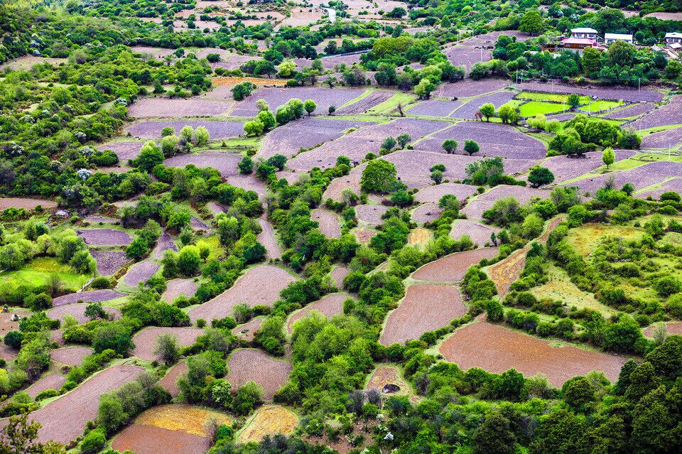 #Yarlung Zangbo Grand Canyon.
世界上最大的峡谷- #雅鲁藏布大峡谷

https://twitter.com/Beautifulgx