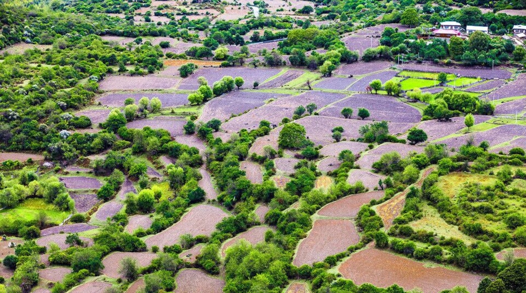 #Yarlung Zangbo Grand Canyon.
世界上最大的峡谷- #雅鲁藏布大峡谷
https://twitter.com/Beautifulgx
