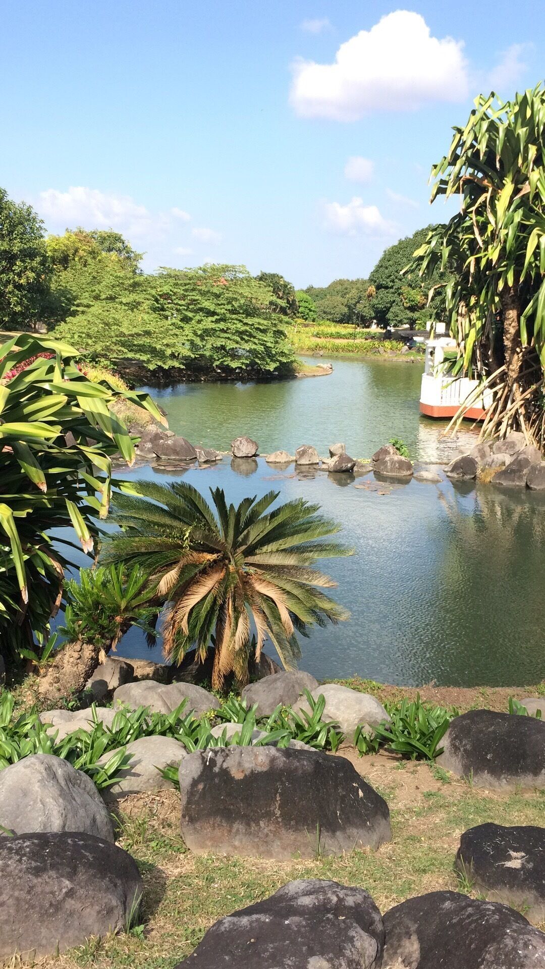 A calm river with rocks and lush greenery.