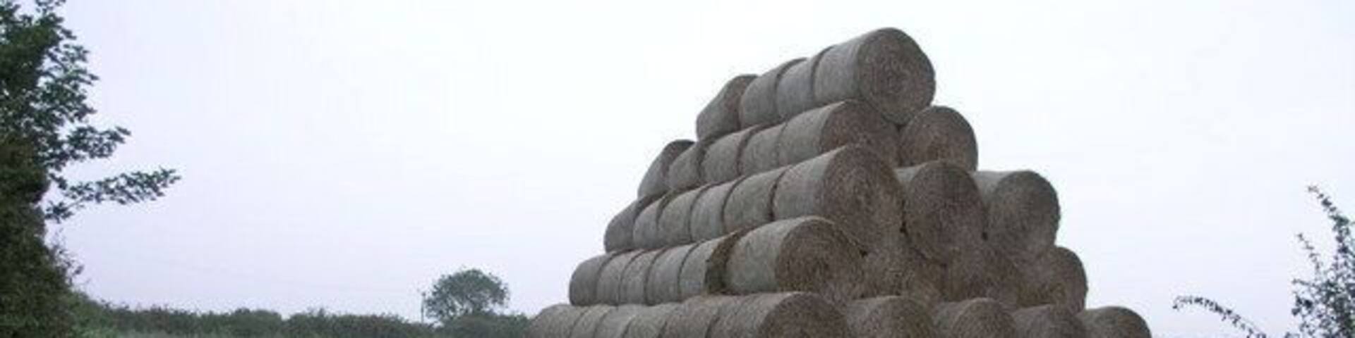 House of Straw. This huge pile of round bales stands by the side of this farm track just east of Helsey.