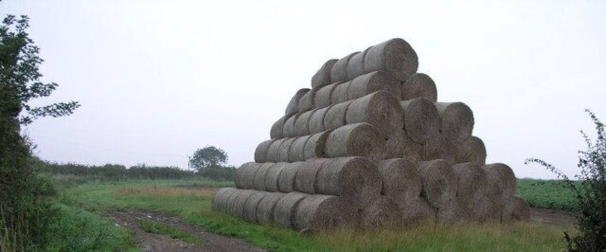 A muddy path, a puddle, and a stack of hay bales in a rural setting.