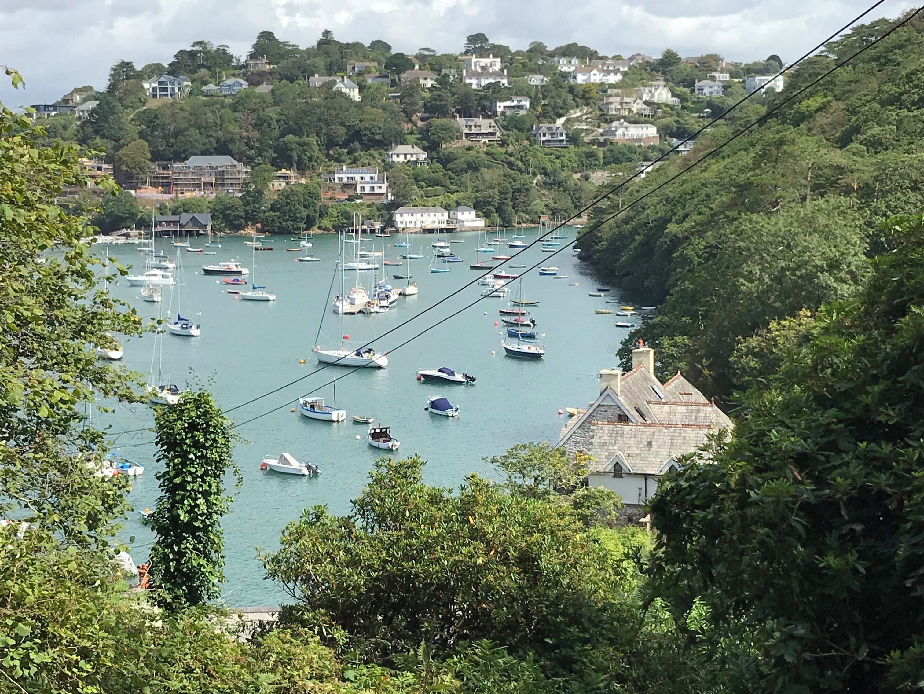 A harbor with numerous boats, surrounded by lush greenery and residential houses on a hillside.
