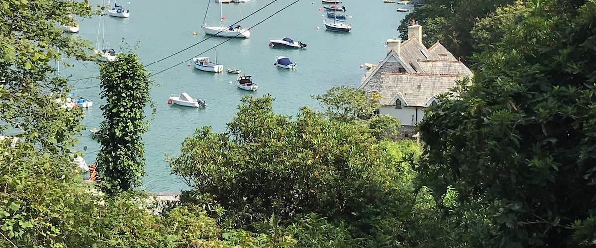 A harbor with numerous boats, surrounded by lush greenery and residential houses on a hillside.