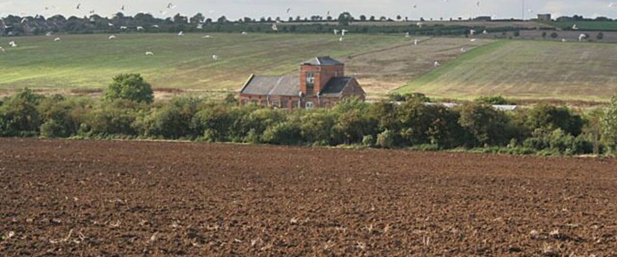 A rural landscape with a farm building, fields, and grazing sheep.