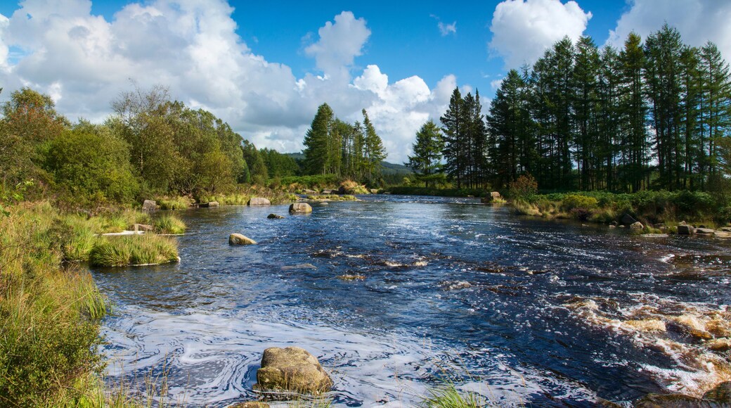 Black Water of Dee, Dumfries and Galloway, Scotland.