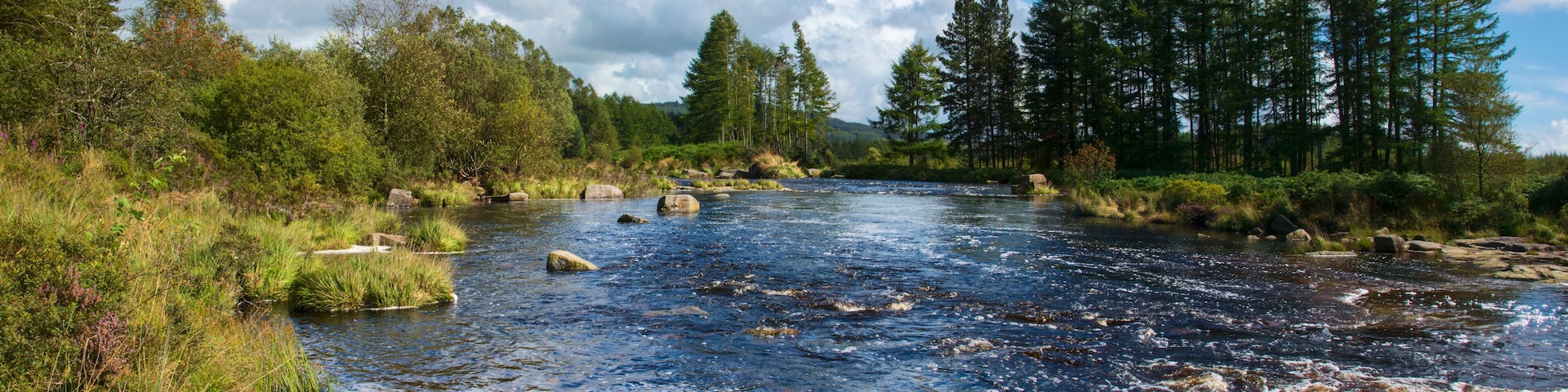 Black Water of Dee, Dumfries and Galloway, Scotland.