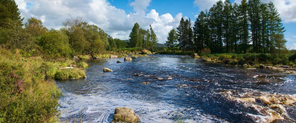 A river with rocks, surrounded by trees and greenery.