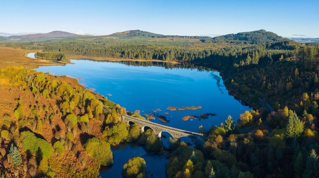 Aerial view of Stroan Loch in autumn, Galloway Forest, Dumfries & Galloway, Scotland