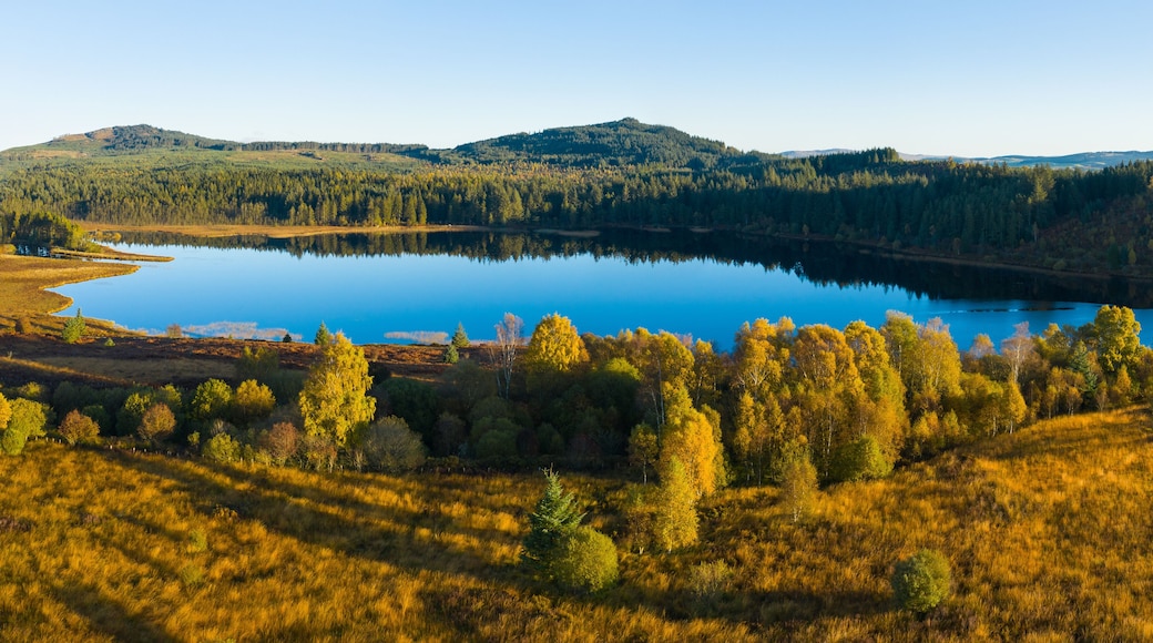 Aerial view of Stroan Loch in autumn, Galloway Forest, Dumfries & Galloway, Scotland