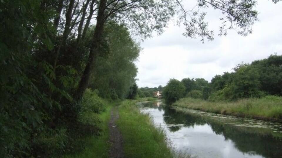A narrow waterway flanked by dense greenery and trees.