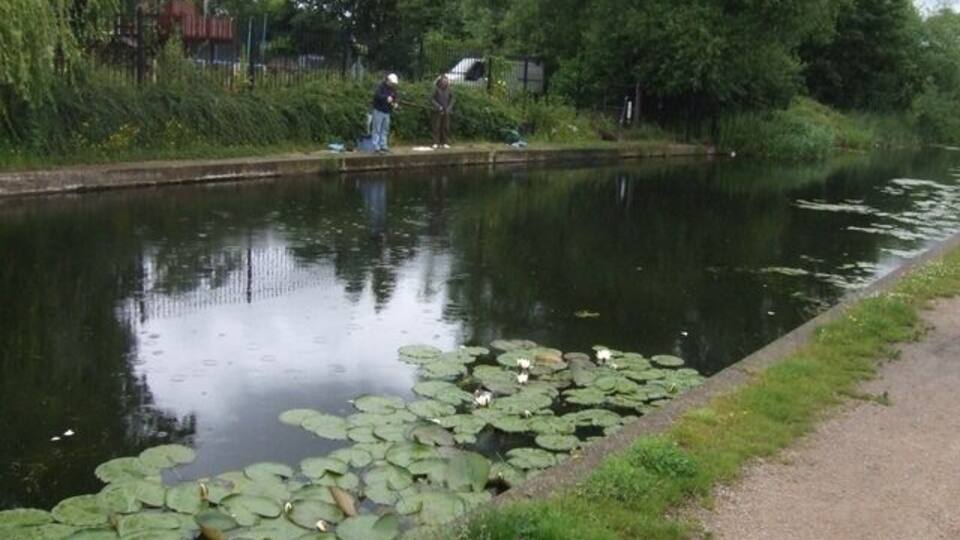 A calm river with lily pads and a person fishing.