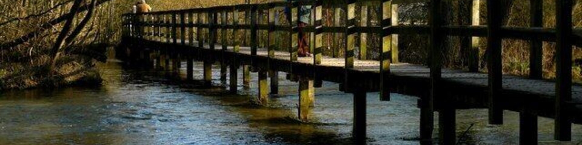Wherwell - Footbridge Viewed From the Waters Edge The bridge over the River Test as seen from the waters edge.