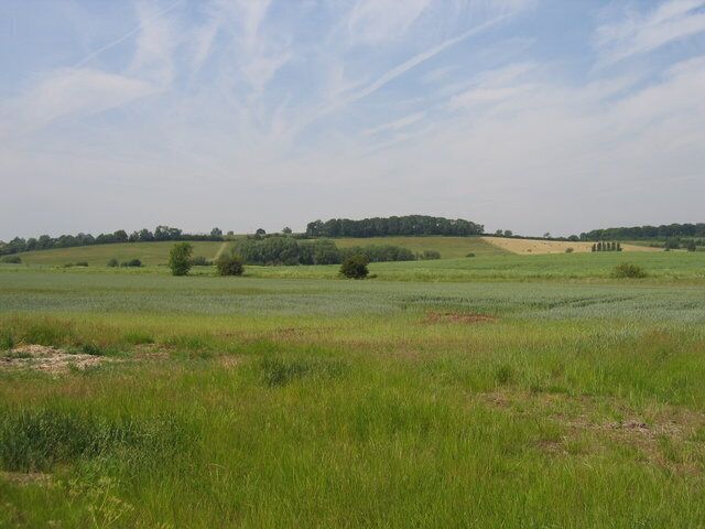 Looking towards Sidelands Plantation. Looking across the shallow valley across the north of the square toward Sidelands plantation on the rising ground in the square beyond.