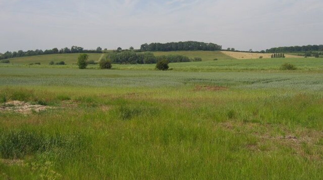 Looking towards Sidelands Plantation. Looking across the shallow valley across the north of the square toward Sidelands plantation on the rising ground in the square beyond.