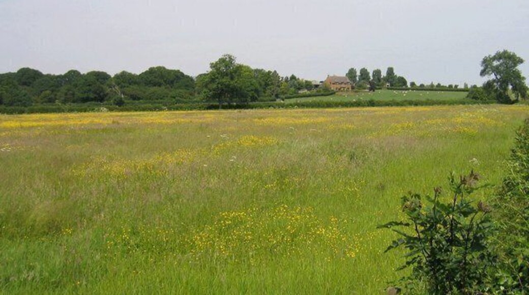 Oxhill Covert and Church Farm. The view seen across the pastures from beside the Oxhill - Whatcote road.