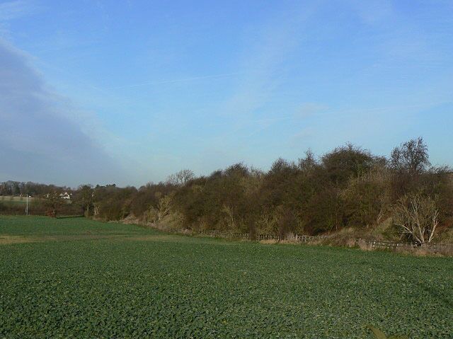 Railway embankment This was the Midland Railway's second route to Nottingham and was closed to normal traffic in the 1960s. Between about this point and Melton Mowbray however, it did not become entirely unused as it became British Rail's test track. There are still rails in situ here but I am not sure where it is still used this far up.