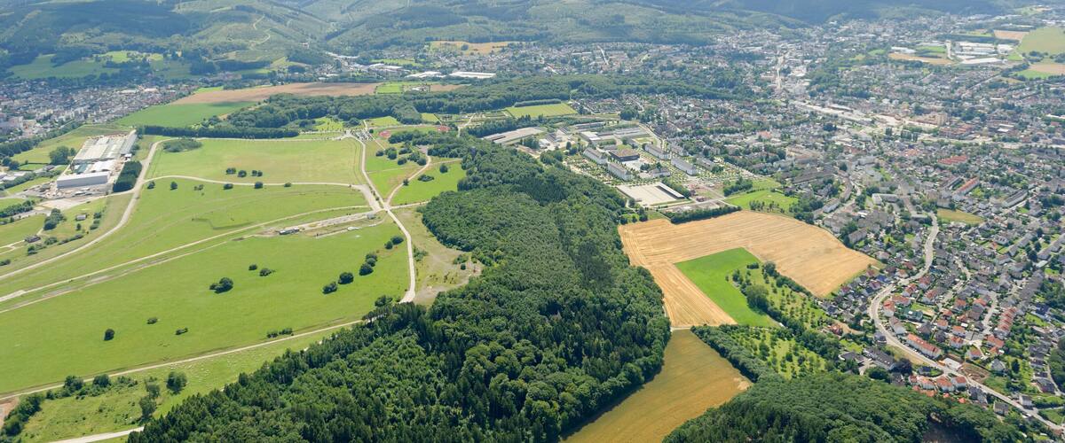 An aerial view of a town surrounded by green fields, a large forest, and distant hills.