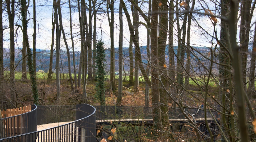 Pathway through the Felsenmeer in Hemer, Germany