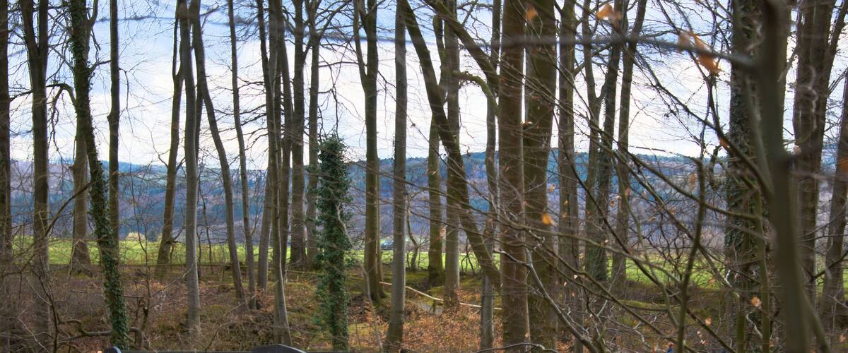 Pathway through the Felsenmeer in Hemer, Germany