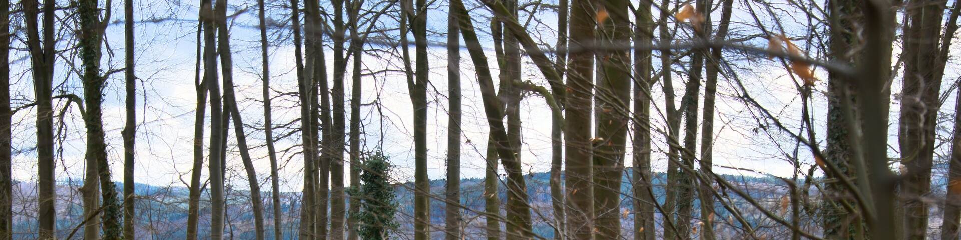 Pathway through the Felsenmeer in Hemer, Germany