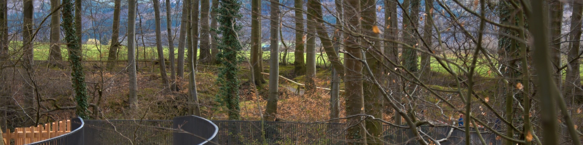 Pathway through the Felsenmeer in Hemer, Germany